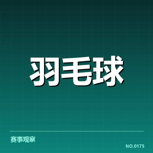 羽毛球战术演练:职业选手战术调整如何实现?